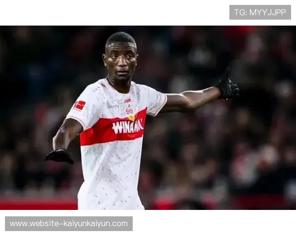 法国多元文化融合，非洲杯冠军球员法甲贡献